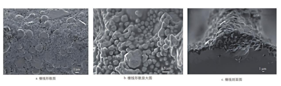 银包铜 HJT 太阳电池正面细栅线的 SEM 图.png