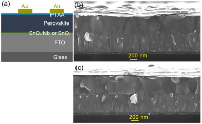 (a) n-i-p结构钙钛矿太阳能电池示意图；(b) S₀器件（未掺杂SnO₂ ETL）和(c) O₅器件（掺Nb SnO₂ ETL）的截面SEM图像.png