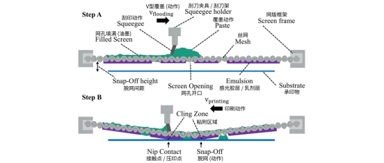 (A) 覆墨阶段：刮刀运动填充网孔(B) 印刷阶段：刮刀压降网版至基材接触