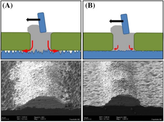 硅片绒面对印刷边缘密封的影响