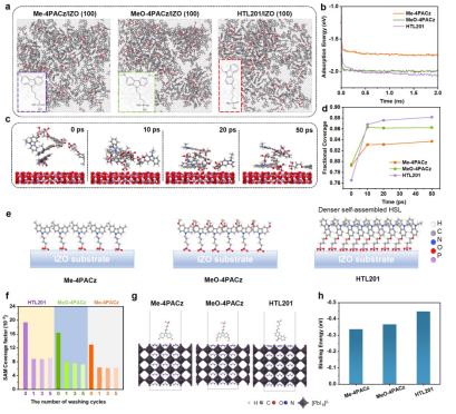 不同SAM在IZO衬底上的覆盖度及其与钙钛矿的相互作用