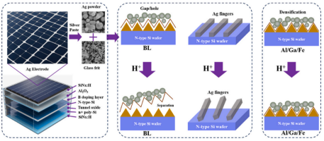 TOPCon电池结构及金属化衰减机制示意图