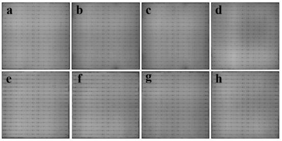 (a–d) 添加BL、AlG、GaG、FeG的LECO银浆在醋酸处理前TOPCon电池的PL图像；(e–h) 醋酸处理后对应样品的PL图像