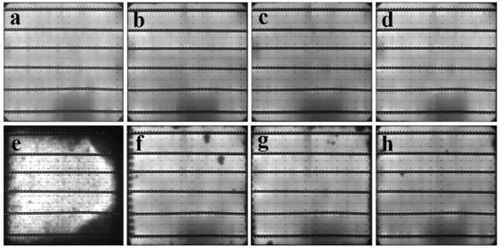 (a–d) 添加BL、AlG、GaG、FeG的LECO银浆在醋酸处理前TOPCon电池的EL图像；(e–h) 醋酸处理后对应样品的EL图像