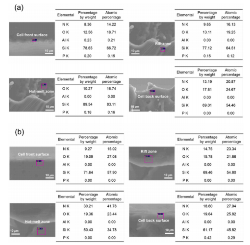 电池SEM-EDS图像：(a) 背面切割；(b) 正面切割