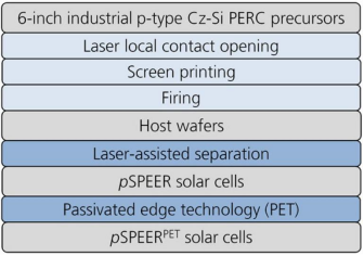 pSPEERᴾᴱᵀ电池制备工艺流程