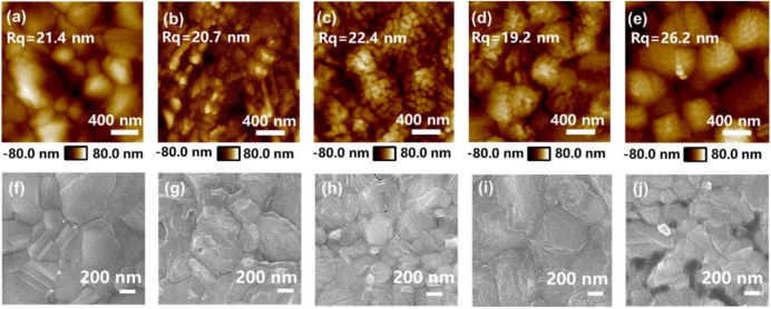钙钛矿薄膜的表面形貌表征：(a-e) AFM图像：(a) 对照组、(b) PEAI处理组、(c) o-FPEAI处理组、(d) m-FPEAI处理组、(e) p-FPEAI处理组； (f-j) 俯视SEM图像：(f) 对照组、(g) PEAI处理组、(h) o-FPEAI处理组、(i) m-FPEAI处理组、(j) p-FPEAI处理组