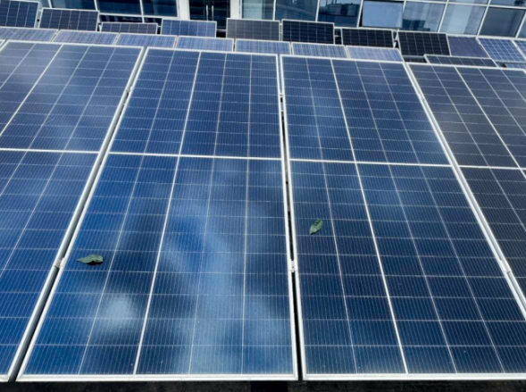 单电池被鸟粪、树叶等异物遮挡示意图