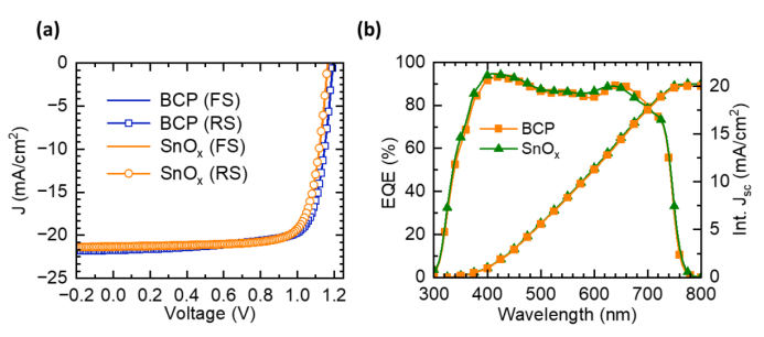 太阳能电池特性（a）FS和RS中的光电流密度-电压曲线（b）EQE光谱和积分短路电流密度
