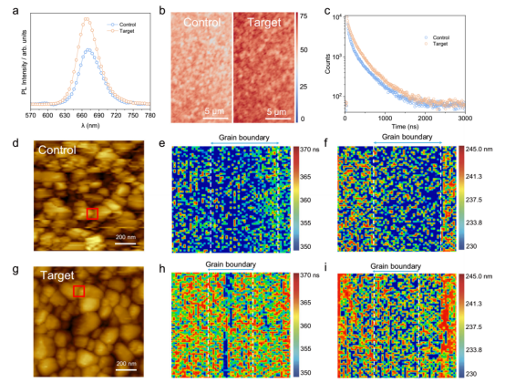 a 对照组和目标组钙钛矿薄膜的PL光谱;b 共聚焦PL映射图和 c TRPL测试结果;d 对照组和 g 目标组薄膜的AFM形貌图及相应的TP-AFM扫描区域标记（红色框，100 × 100 nm²）;e 对照组和 h 目标组薄膜的TPV载流子复合寿命（τᵣ）映射图;f 对照组和 i 目标组薄膜的扩散长度映射图