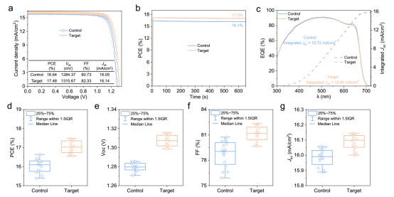 a 电流密度-电压曲线;b 最大功率点（MPP）跟踪;c EQE曲线及积分电流密度;d-g 不同PACI浓度对电池性能参数（PCE, Voc, Jsc, FF）的影响统计箱线图