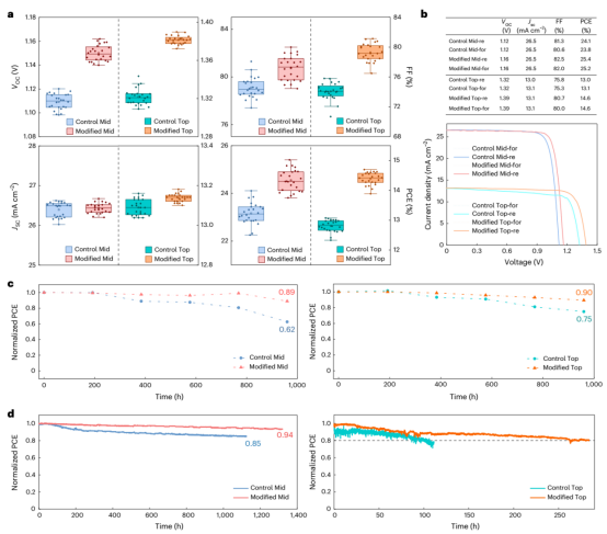 a. 光伏参数统计（n=12，含正反向扫描）；b. J-V曲线及光伏参数；c. 在85℃/85% RH、开路下老化1000h的归一化PCE；d. 在室温 MPP跟踪下的归一化PCE