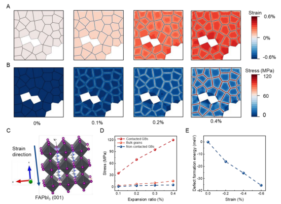 (A, B) 不同膨胀比例下半覆盖多晶钙钛矿薄膜的应变 (A) 和应力 (B) 分布  (C) 用于探究单轴应变对缺陷形成影响的FAPbI₃钙钛矿原子模型  (D) 不同区域的平均应力随晶格膨胀比例的变化关系 (E) 与未应变体系相比，(001)面应变钙钛矿中V_I⁺缺陷形成能在300 K下的演化