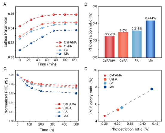 (A)Cs₀.₁FA₀.₉PbI₃、FAPbI₃和MAPbI₃钙钛矿薄膜在光照下晶格参数的变化 (B) 四种钙钛矿薄膜的光致伸缩率 (C) PSCs在45°C、开路条件下的光照稳定性。电池效率根据初始值进行归一化 (D) 光致伸缩率与PCE衰减率之间的关系