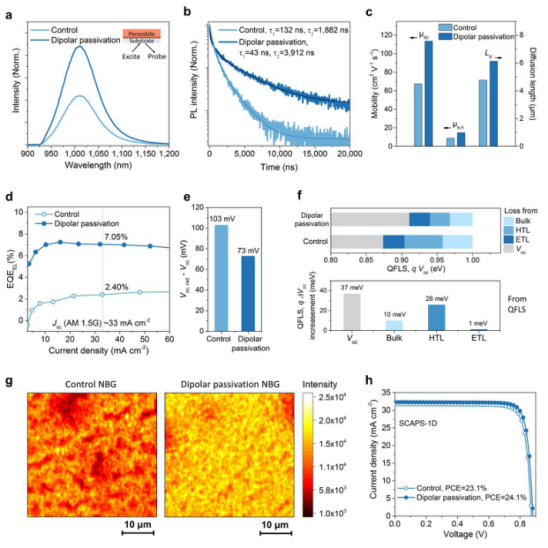 铅锡钙钛矿 / 空穴传输层界面处的载流子动力学