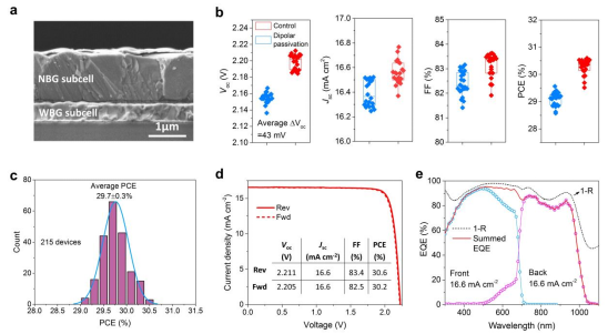 采用偶极钝化的全钙钛矿叠层太阳能电池的光伏性能