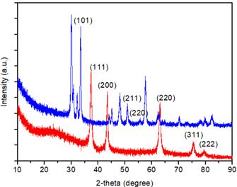 在 2e-4 Torr沉积压力下生长的退火处理后 NiOₓ和 SnOₓ薄膜的 X 射线衍射（XRD）图谱