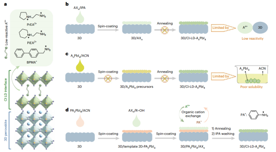 在三维钙钛矿上生长化学惰性低维界面的潜在溶液可加工策略