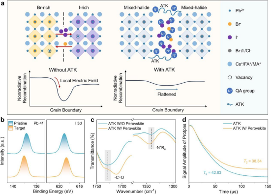 a) 晶界处离子迁移诱导的局部电场示意图，以及ATK对局部电场的抑制。b) 钙钛矿薄膜和ATK处理后的钙钛矿薄膜的Pb 4f和I 3d的XPS谱图。c) ATK及其与钙钛矿混合后的FTIR光谱。d) ATK及其与钙钛矿复合物的LF-NMR谱图