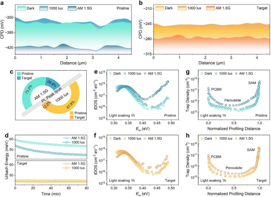 a, b) 不同光照后，未处理与处理钙钛矿横跨晶界的线扫描接触电势差。c) 处理和未处理钙钛矿薄膜在标准与弱光照射下的归一化PL峰位移。d) 原始和ATK处理钙钛矿薄膜光照后的原位乌尔巴赫能量。e, f) 原始和目标电池在不同光照下的陷阱态密度曲线。g, h) 原始和目标电池在不同光照下的DLCP曲线