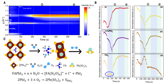 (A) 钙钛矿薄膜在10分钟热退火过程中的原位GIWAXS图；(B) 3C、6-CsPbI₂、2H、4H、6H和PbI₂相沿qz方向的GIWAXS强度随时间演变。蓝色虚线圆圈表明PbI₂相的组成保持不变；(C) 环境条件下潜在的降解过程示意图。