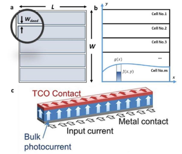 （a）子电池分布分段示意图。（b）任意分段中的电流流动。（c）子电池中从底部接收并通过TCO接触边缘收集的垂直电流流动示意图