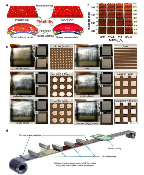 （a）PEDOT:EVA应力释放示意图。（b）透射率随溴含量及钙钛矿厚度的变化。（c）不同激光图案下的透明效果。（d）借助多工艺协作的大规模卷对卷钙钛矿太阳能模块生产过程示意图