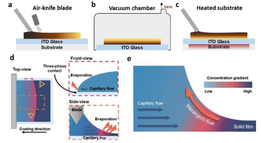 （a）气刀辅助、（b）真空辅助及（c）原位加热辅助模式示意图。（d）刮涂过程中不均匀蒸发的主视图、侧视图和俯视图示意图。（e）弯月面涂布过程中Marangoni流与毛细对流的流动轨迹示意图