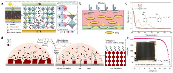 （a）添加剂偶极效应对钙钛矿薄膜的作用机理图。（b）TPFB如何防止水对钙钛矿损伤的示意图。（c）添加BHC前后新鲜和陈化的1.37 M MAI:FAI (7:3)溶液的紫外-可见吸收光谱。（d）钙钛矿薄膜定向成核的热力学驱动力与动力学示意图。（e）全刮涂钙钛矿太阳能子模块的截面扫描电子显微镜图像