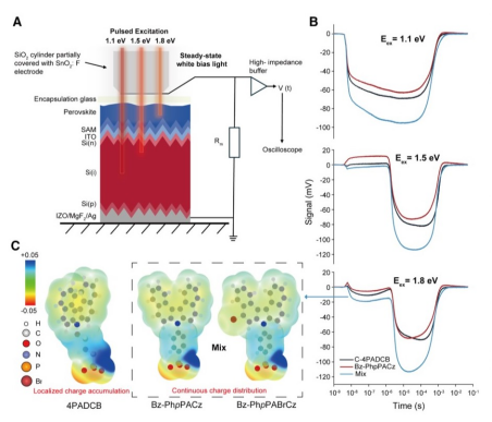 A. 波长分辨瞬态表面光电压测试示意图。B. 在不同激发光子能量（对应硅体、硅前表面及钙钛层激发）下，基于不同SAM的叠层电池的瞬态光电压响应。C. 不同分子的静电势表面分布图