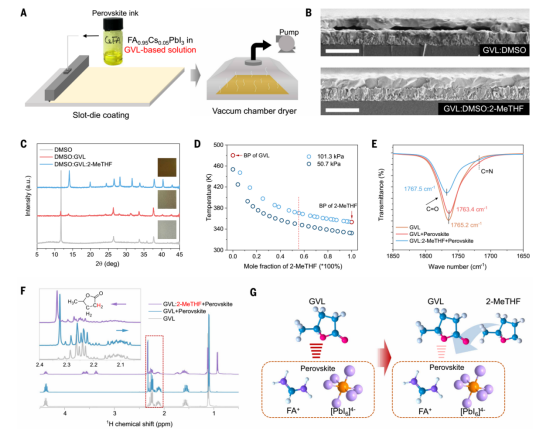 (A)钙钛矿薄膜的示意图;(B)制备钙钛矿薄膜的截面SEM图;(C)VCD处理后中间相钙钛矿薄膜的XRD图谱;(D)等压气液平衡图;(E)FTIR光谱;(F)¹H-NMR光谱;(G)显示GVL和2-MeTHF与钙钛矿配位的示意图