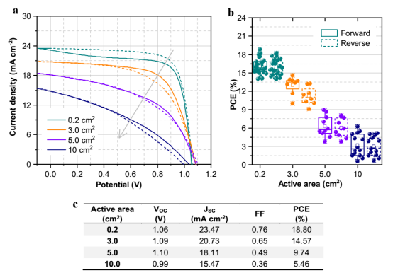 各尺寸倒置PSC冠军器件的J-V曲线；b 功率转换效率随活性面积变化的箱线图；c 各尺寸倒置PSC冠军器件的光伏性能参数表