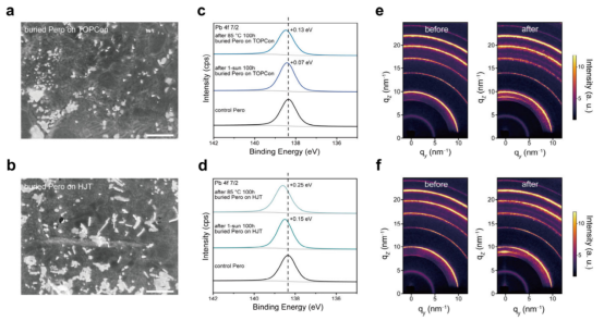 (a) Pero/TOPCon和(b) Pero/HJT串联器件的扫描电子显微镜图像(c) Pero/TOPCon和(d) Pero/HJT串联器件中对照钙钛矿与埋底钙钛矿在热老化和光老化后的Pb 4f X射线光电子能谱(e) Pero/TOPCon和(f) Pero/HJT堆叠结构在加速热老化前后的二维掠入射广角X射线散射图像