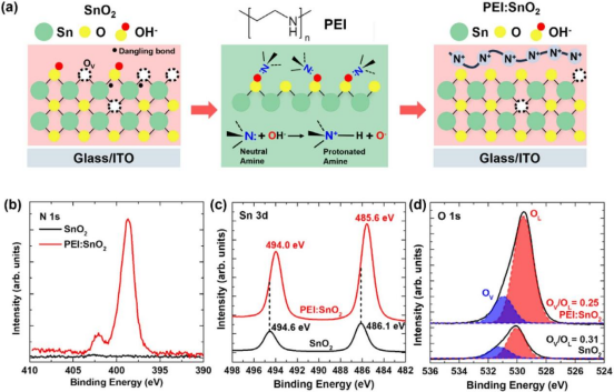 （a）PEI修饰SnO₂层的形成示意图（b）SnO₂和PEI:SnO₂薄膜的N 1s（c）Sn 3d和（d）O 1s XPS谱图
