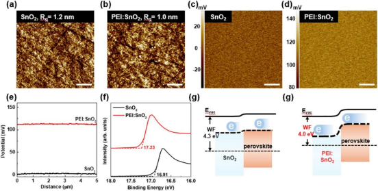 （a,b）ITO/SnO₂与ITO/PEI:SnO₂薄膜的AFM图像（c,d）相应的KPFM图像（e）KPFM测得的SnO₂与PEI:SnO₂表面电位（f）ITO/SnO₂与ITO/PEI:SnO₂薄膜的UPS谱图（g,h）分别为SnO₂/钙钛矿与PEI:SnO₂/钙钛矿界面的能带示意图