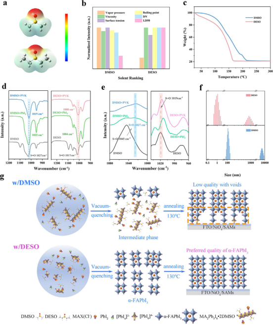 DMSO与DESO的(a)分子静电势分布图(b)关键物化参数对比；(c)热重分析曲线；(d)傅里叶变换红外光谱；(e)拉曼光谱；(f)动态光散射粒径分布；(g)在成膜过程中的成核与结晶相演化示意图
