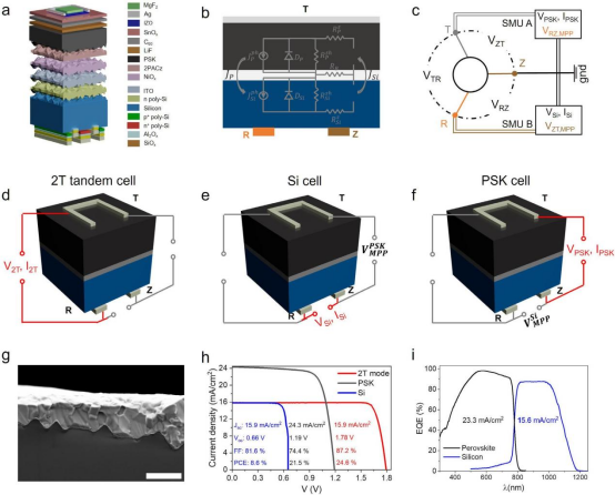 (a)3T叠层太阳能电池的电池结构(b)2T和3T结构的相应等效电路(c)迭代测量循环的示意图(d–f)3T架构的示意图(g)横截面SEM图像(h)冠军3T叠层电池的顶电池和底电池的电流-电压特性,以及2T叠层电池的结果(i)叠层电池中钙钛矿和硅子电池的相应外量子效率光谱,以及对应子电池的积分JSC