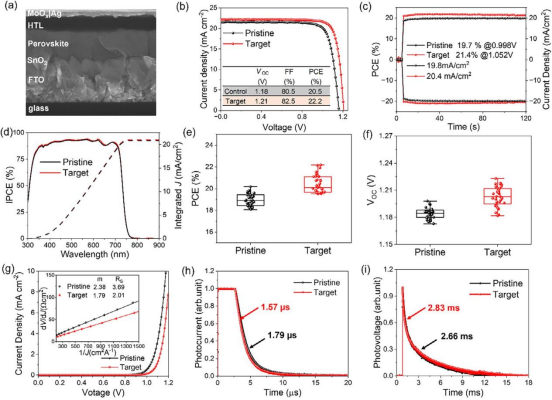 (a)电池结构的PSC截面SEM图像；(b)冠军器件的J–V曲线；(c)冠军器件在MPP附近固定偏压下的稳定功率输出（SPO）；(d)冠军器件的IPCE谱及对应的积分电流密度；20个独立器件的(e)VOC(f) PCE统计分布；(g)暗态下的J–V曲线；冠军器件的(h)瞬态光电流（TPC）衰减曲线和(i)瞬态光电压（TPV）衰减曲线