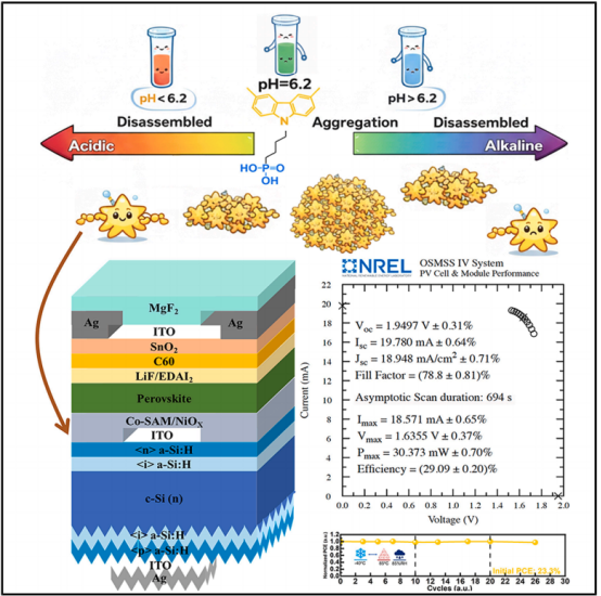 左：pH调控SAM聚集机制示意图；中间：钙钛矿-硅叠层器件结构示意图；右：NREL认证效率结果