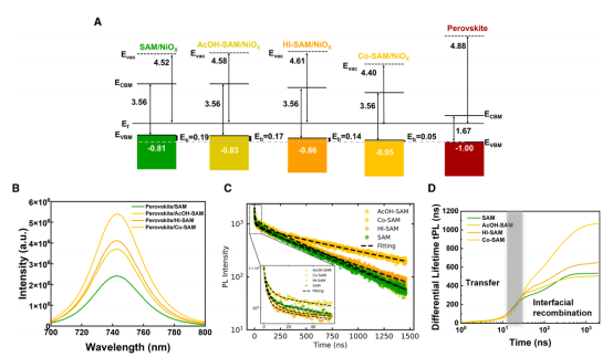 (A)NiOₓ上SAMs和共-SAM与钙钛矿层相比的能级图。(B和C)使用相同条件在各种SAMs上制备的钙钛矿的(B)稳态PL和(C)TRPL。(D)同一样品的微分寿命与时间的关系。