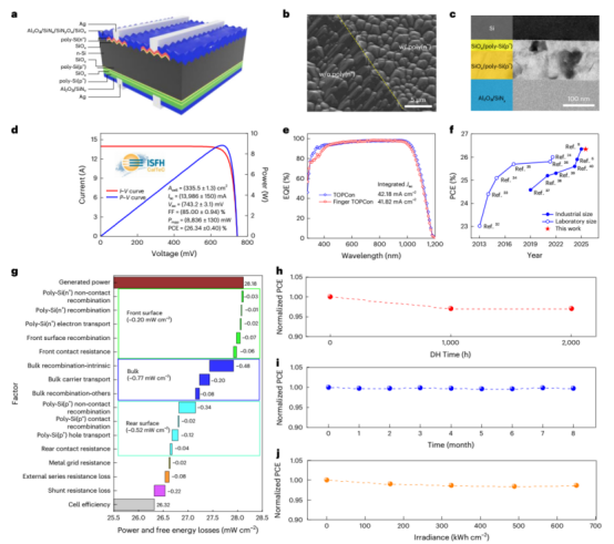 a. 指状TOPCon太阳能电池结构示意图。(b) 正面图案化SiOₓ/多晶硅(n⁺) 和 (c) 背面双层SiOₓ/多晶硅(p⁺) 钝化接触的SEM图像。指状TOPCon电池的认证 (d) I-V和P-V曲线及 (e)EQE曲线。f. 多年来FBC TOPCon电池的PCE evolution图。g. 指状TOPCon电池的功率和自由能损失分析。封装的单电池指状TOPCon组件在(h)加速DH测试、(i) LID测试和(j) LeTID测试下的稳定性