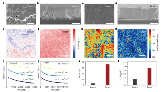 a-d对照和目标薄膜的埋底界面顶视图（左）和截面形貌（右）的SEM图像e-f稳态共聚焦光致发光（PL）图谱g-h高光谱成像图i-j不同载流子浓度下对照和目标样品的时间分辨光致发光（TRPL）衰减曲线k-l光致发光量子产率（PLQY）及iVₒc的光电性能对比