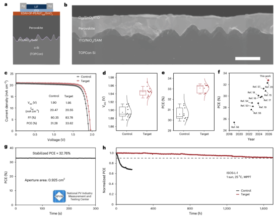 a叠层器件结构的示意图b叠层器件的截面SEM图像c对照和目标叠层器件的电流密度-电压（J−VJ−V）特性曲线d-e 对照和目标器件的 Voc和PCE统计分布f 近期文献中报道的顶级的单块型钙钛矿/TOPCon叠层太阳能电池PCE总结g认证的稳态效率输出，在最大功率点追踪（MPPT）300秒后测得h封装的对照和目标叠层器件在ISOS-L-1协议下的MPPT稳定性曲线