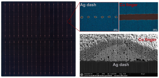 （左）采用节银金属化制备的TOPCon太阳能电池背面的照片。（右）显示节银金属化设计中银点和铜细栅细节的光学显微镜图像和横截面扫描电子显微镜图像