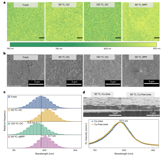 ALD SnO₂基PSCs的降解机制