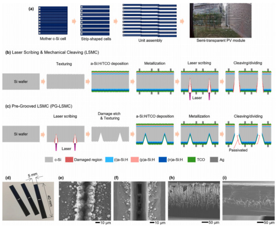 展示条带状晶硅电池在半透明组件中的应用形式，以及两种典型制备工艺（LSMC与PG-LSMC）。同时给出激光刻槽及断裂边缘在刻蚀前后的形貌变化，直观体现边缘损伤及其去除过程