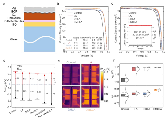 a：器件结构示意图b：慕尼黑大学最佳器件的J-V曲线与参数c：天津大学最佳器件结果（插图为稳态PCE）d：UPS测得的ITO/SAM与钙钛矿的相对能级e：基于PL的隐含开路电压（iVoc）全器件面成像f：Voc与FF的统计分布