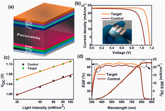 (a)器件结构的示意图，(b)小面积（0.25 cm²）器件在光照下的J-V曲线（反向扫描），(c)采用SAM/r-GO（目标）和未采用r-GO（对照）的器件的VOC随光强变化图，(d)对应小面积（0.25 cm²）器件的EQE光谱