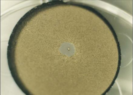微流星体或轨道碎片撞击导致直径0.6 mm的弹坑和约3 mm的剥落（涂层脱落）